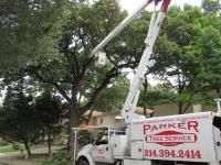 Parker Tree Service image 9